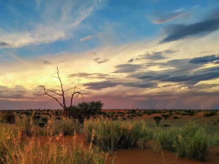 Abendstimmung in Namibia