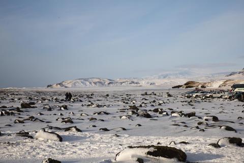 Island Südküste im Winter