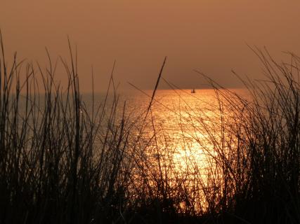 Am Meer