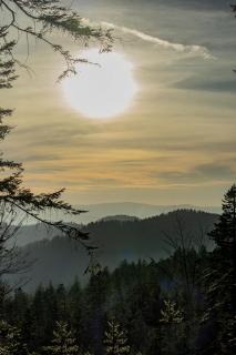  Bavarian Forest