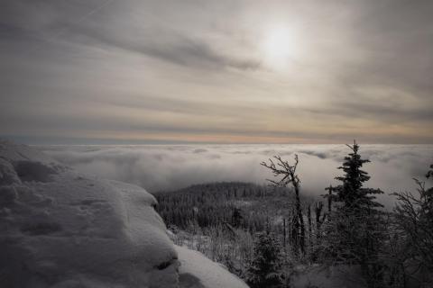 Winter im Bayerischen Wald 