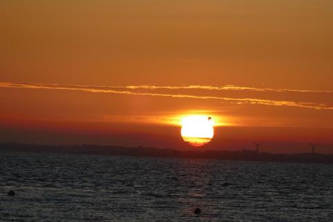 Sonnenuntergang/Norgaardholz
