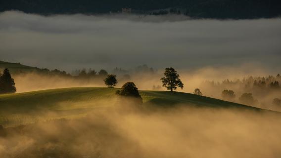 Allgäu