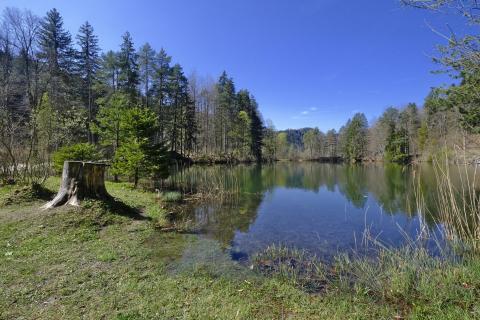 Füssen (Mittersee Ri O 6302)