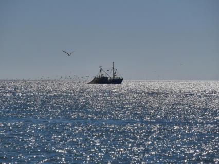 Fischerboot auf der Nordsee