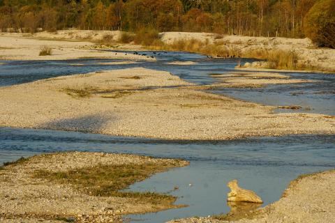 Isaraue bei Krün sk