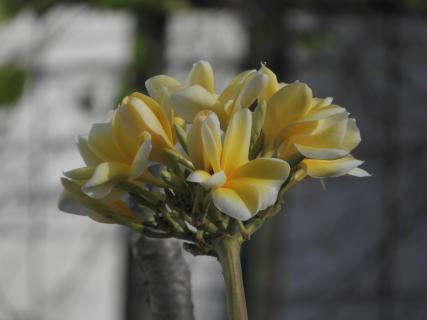 ohne Titel