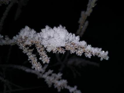 IMG 20230208_063451~2