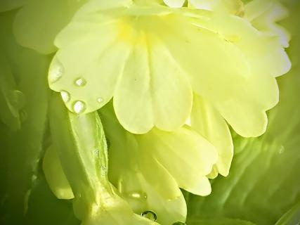 IMG 20220419_165837_1~3