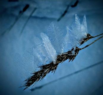 IMG 20221213_161108~4