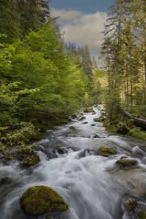  MG_0425