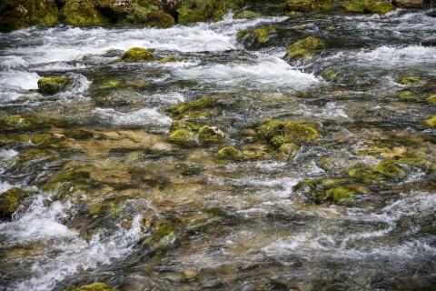 MG_0557