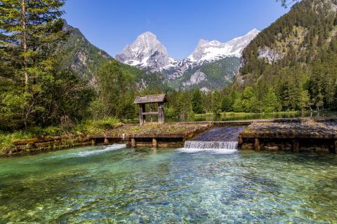 Schiederweiher