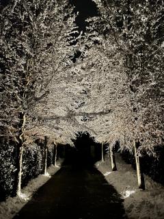 Winterzauber
