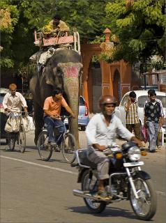 Strassenverkehr in Jaipur