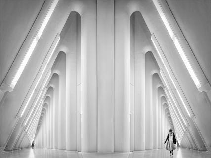 Hommage to Calatrava