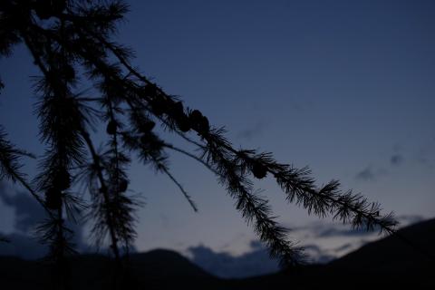 Blaue Stunde