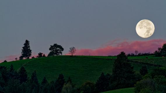 WSOMMER MONDUNTERGANG_FREIBURG2