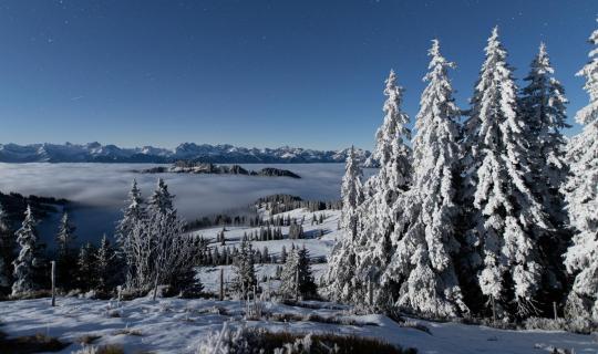 Neblige Winternacht