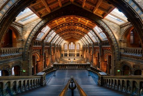 Hintze Hall (Natural History Museum)