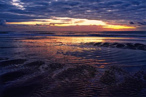 Am Meer