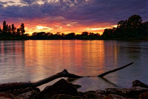 Sonnenuntergang am Rhein