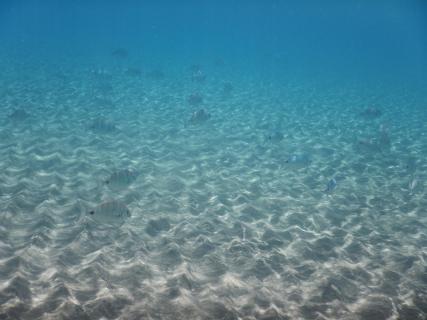 2023071019 Lanzarote Unter Wasser