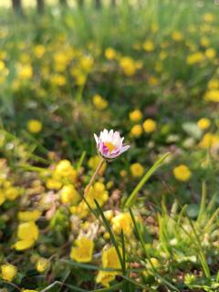IMG 20220425_172506