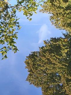 Wasser oder Himmel
