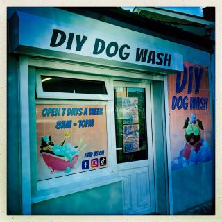 dog wash