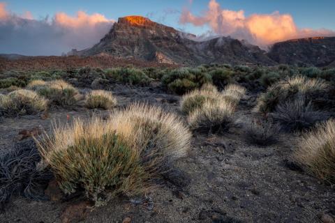 Mirador del Teide 