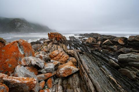 Tsitsikamma