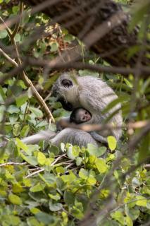 Mother and child