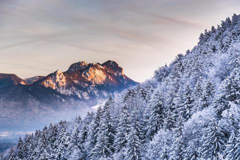 Die letzten Sonnenstrahlen