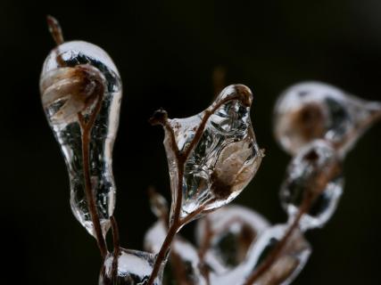 Gefangen in gefrorenen Wassertropfen