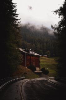 IMG 0215