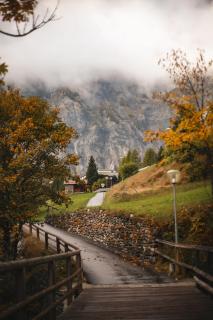 IMG 0198