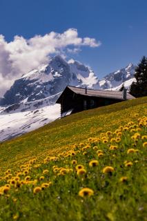 Mountainview