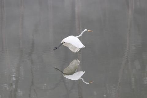 Hallo Rückenflieger