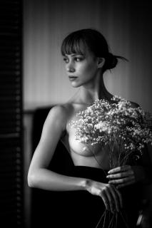 gypsophila