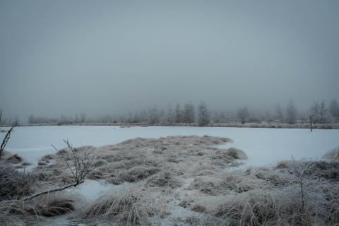 Hohes Venn Ostbelgien