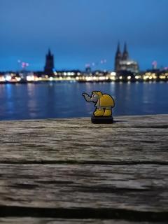 Ottifant auf Streifzug
