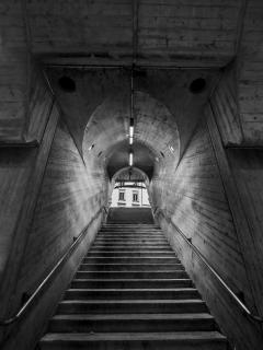 Treppe ansTageslicht