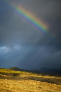 Regenbogen