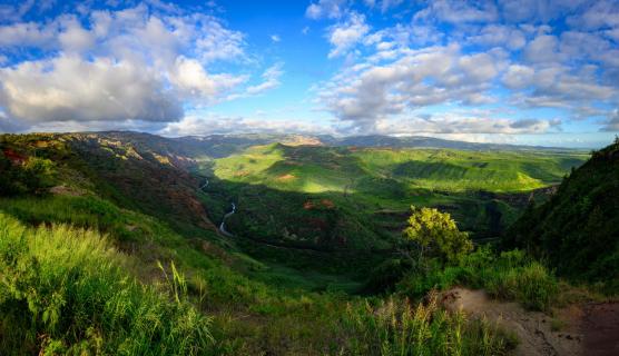 Waimea Canyon Panorama