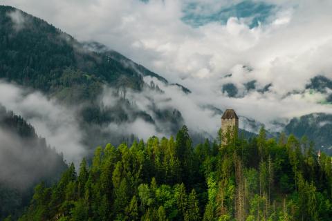 Schloss im Nebelgewand