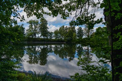 Spiegelwelt