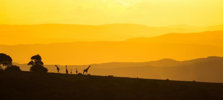 Sonnenuntergang Südafrika 