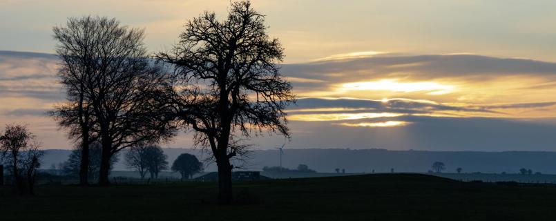 Dezemberstimmung