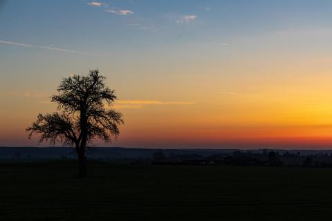 Sonnenuntergang im Februar